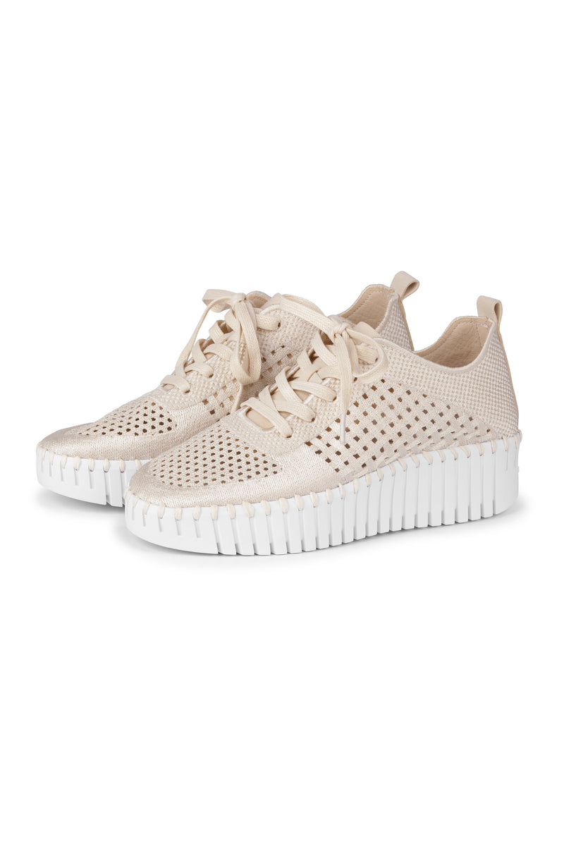 Tulip 4271 Lace Up White Perforated Platform Sneakers | Shop Ilse
